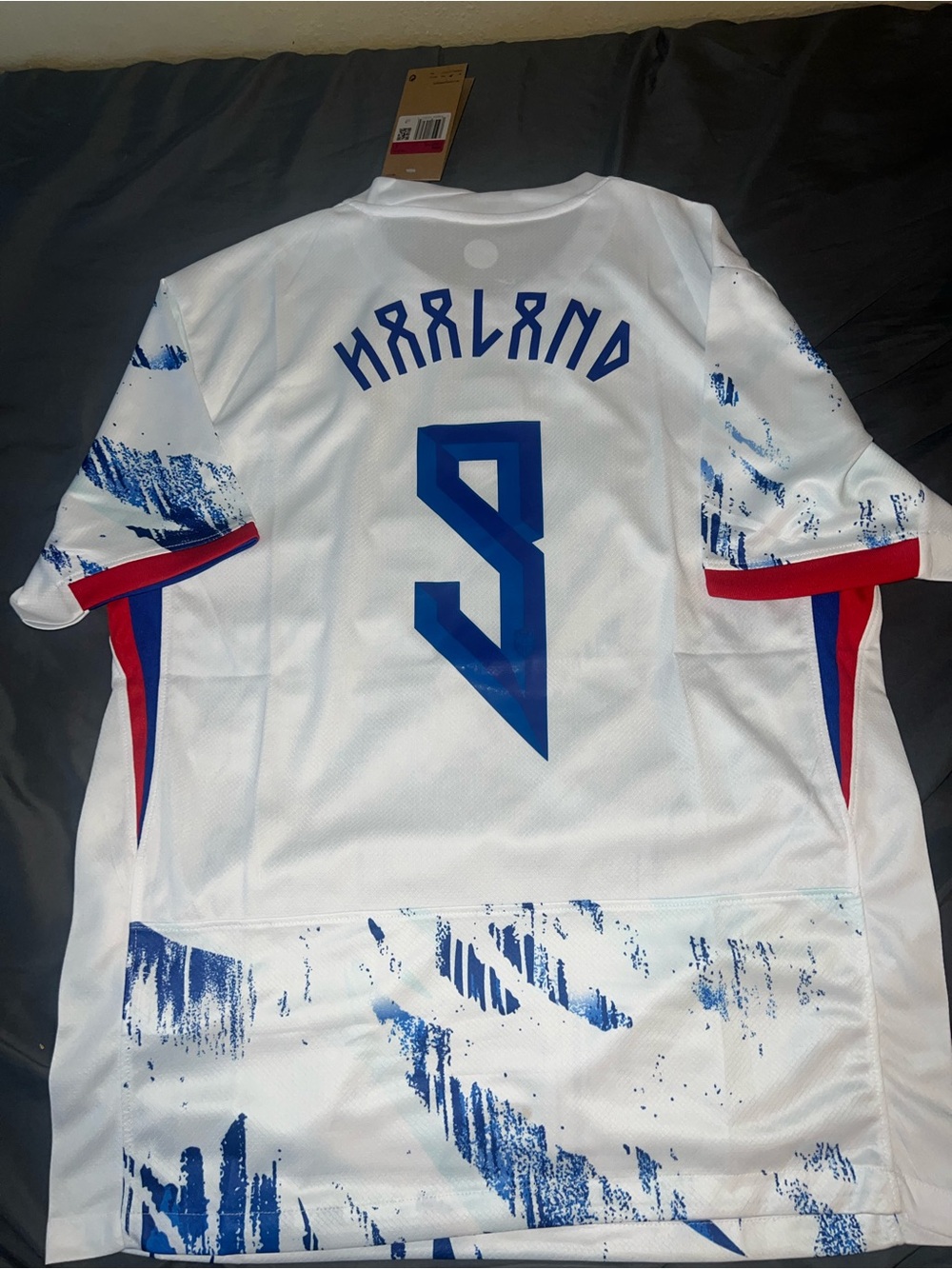 Norway Haaland jersey